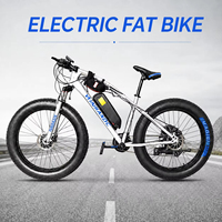 Kit de conversion de vélo à pneus larges pour neige 48V 1500W avec moteur de moyeu arrière à cassette, contrôleur 35A et écran LCD