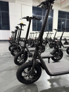 Trung Quốc Nhà Máy Tùy Chỉnh 400W 500W 12 Inch 14 Inch Dành Cho Người Lớn Ngồi Điện Xe Tay Ga Hai Bánh Xe Túi Tàu Sân Bay Người Lớn Điện Xe Tay Ga - Product Image 5