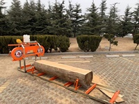 Scie à ruban automatique de Machine de scierie verticale portative de Double coupe pour la coupe de bois pour des industries de travail du bois
