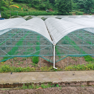 Système d'irrigation hydroponique intelligent pour la culture verticale de la laitue, des fraises et des <span class=keywords><strong>tomates</strong></span>, serre multi-spans en film - Product Image 4