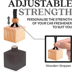 Cetak kustom iklan mobil pewangi udara gantung parfum penyegar udara mobil dengan desain pemilik Anda - Product Image 3