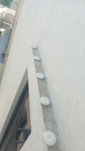 Gel Ecológico Innovador para el Control de Aves - Gel Visual Rígido de Alta Calidad de Corea para Bloquear, Prevenir y Repeler Palomas, Pájaros y Murciélagos - Product Image 3