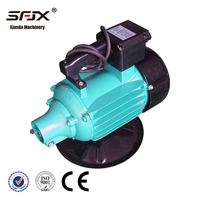 ZN25 ZN35 ZN50 ZN70 Tragbarer Elektrischer 1500W Interner Betonrüttler 220V/380V Bauvorrichtung mit Langer Lebensdauer