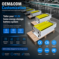 Batería de Litio Lifepo4 OEM de 51.2V 600Ah 30kWh 40kWh para Almacenamiento de Energía en el Hogar, Batería Recargable de Respaldo para el Hogar