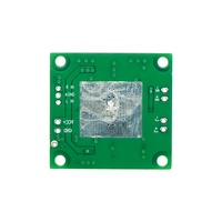 Placa Amplificadora de Potencia Digital Universal de Alta Calidad 2x40W Modelo D503 33x35mm para Módulo Decodificador de Audio MP3 para Automóvil