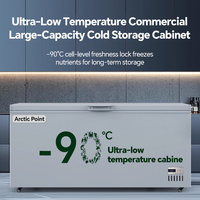 Congélateur coffre industriel en acier inoxydable, grande capacité, ultra basse température -90°C, certifié CE ETL ℃   pour laboratoire
