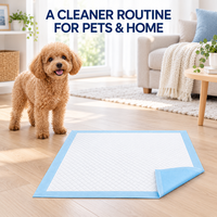 Vente en gros usine de draps absorbants jetables pour chiens, avec base anti-fuite à drainage rapide et noyau à forte absorption, pour la cage et l'entretien des sols