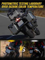 E24 Feu arrière à LED pour BMW F650 GS/Dakar/ F800R/S/ST/ G650GS/ R1200GS Adventure