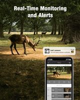 Camuflaje salvaje GSM 4G Sim Cámara de seguimiento de batería Ucon App Solar Powered CCTV Hunting Trail Camera