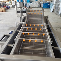 Commerciële automatische bubbelwasmachine voor aardappelen, wortelen, kool, sla, fruit en zeevruchten