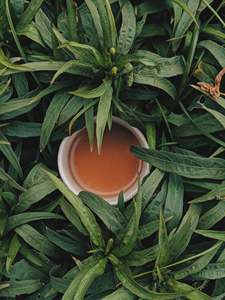 Premium Wellness Tea Blends Set Fruit Herbal Tea Tisane with Tea Making Tool <strong>Kit</strong> Blending Grow <strong>Kit</strong> - Product Image 6