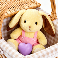 Peluche Lapin Brodé Personnalisé 100% Polyester Rembourré Coton PP Poupée Lapin d'Anniversaire OEM ODM Vente en Gros