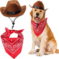 Ensemble chapeau de cowboy et bandana ajustables pour chats et petits chiens, costume western, accessoires pour Halloween et Noël