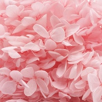 Hochite deko — hortensias anna séchées, 1 pièce, fleur immortelle, pour décoration de mariage, pour la maison