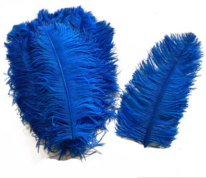 Plumas 60cm 65cm en gros Floral bricolage artisanat plume noir Femina plumes d'autruche plumes pour carnaval décor à la maison fête - Product Image 6