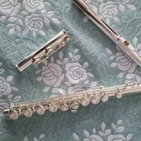 Factory 16 Closed Flute C for Sale OEM Instrument
