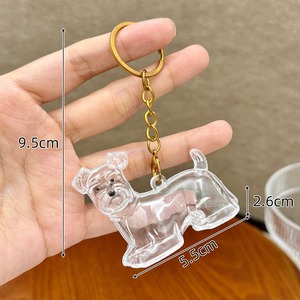 Nuovo Arrivo Portachiavi Commemorativo per Peli di Animali Domestici, Scatola Trasparente per Conservare Peli di Cane, Ciondolo Creativo in Metallo Kerring - Product Image 1
