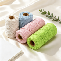 Cordon en coton tressé Nano Macramé pour suspension murale de plantes, artisanat DIY, tricot, crochet, sac, accessoires de décoration intérieure