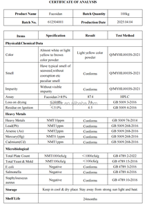 Harga bagus Natural Fucoidan <span class=keywords><strong>Fucus</strong></span> Vesiculosus ekstrak Fucoidan kapsul bubuk 85% Fucoidan - Product Image 3