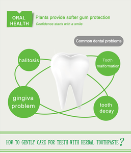 Expédition immédiate, vente en gros, nouvelle <span class=keywords><strong>dentifrice</strong></span> RenDoctor pour adultes, <span class=keywords><strong>triple</strong></span> <span class=keywords><strong>action</strong></span>, à l'aloe vera, 100g, mousse riche, blanchissant, menthe fraîche, usage domestique, soin buccal - Product Image 3