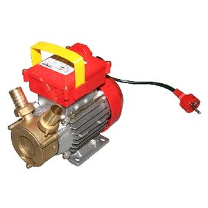 Rover <b>Transfer</b> <b>Pump</b> 0.8 Hp 550 W 25mm Inlet For Pool <b>Water</b> Circulation - Product Image 1