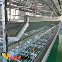 Nouveau système de cages automatiques multi-niveaux de type H, équipement complet d'élevage de volailles, en acier galvanisé à chaud, pour l'alimentation et l'abreuvement