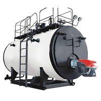 Generator Uap Tabung Berbahan Bakar Gas Alam LHS 100kg, Boiler Diesel Mini Baru dari Baja Tahan Karat, Perakitan Cepat untuk Makanan