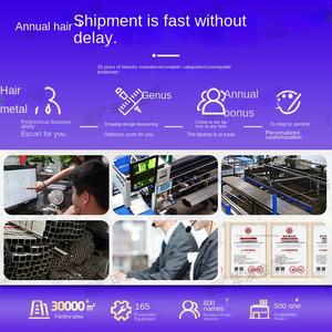 Building Steel Ladder <b>Protective</b> <b>Floor</b> Roof Refuge Stairs Galvanized Assembly Welding Construction Stainless Steel Ladder - Product Image 4