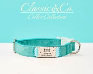 Ensemble de laisse collier personnalisé en cuir suédé pour animaux de compagnie, collier de chat Aqua personnalisé, étiquette de nom en métal gravé avec cloche gratuite, chien unique - Product Image 1