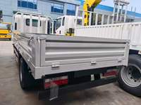 Camion léger de petite taille fabriqué en Chine, Faw JAC 4X2, mini camion de fret