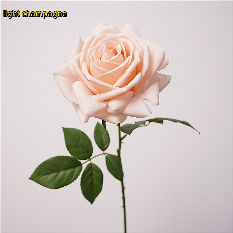 light Champagne