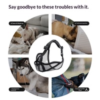 Muselière respirante pour chien, anti-morsure, anti-ramassage de débris, anti-aboiement, protection buccale spécialement conçue pour le bouledogue français