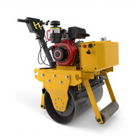 Mini rouleau compresseur à main homologué CE, petite machine vibrante pour la réparation routière