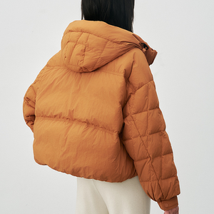 Blouson d'hiver pour femme en duvet, couleur brume douce, tenue d'hiver élégante - Product Image 6