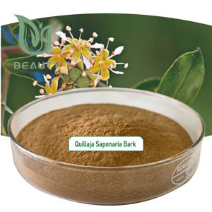 Food Grade Quillaja Saponaria Bark Powder Alta Qualidade Orgânica 90% Saponinas Extract Teste UV para Suplementos Herbal Cosméticos - Product Image 3