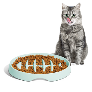 Vente chaude Premium Mangeoires automatiques Bol pour chien Mangeoire lente Puzzle Bol ovale Capacité 200ml pour chats Eau fabriquée à partir de mélamine - Product Image 5