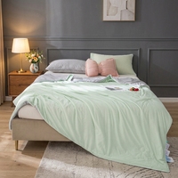 Couette Rafraîchissante d'Été Effet Glacé Couleur Unie Fibre Rafraîchissante Climatisation Fine Lavable en Machine Moderne Minimaliste Vente en Gros