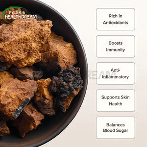 Extrait de Chaga sauvage de Chine UE organique 10:1 Pesticide-<span class=keywords><strong>Test</strong></span>é OEM Premix & Capsule Solutions de remplissage - Product Image 2