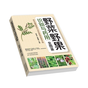 Guía ilustrada auténtica sobre verduras silvestres, frutas, identificación, usos medicinales, consumo seguro, modelo de guía para principiantes - Product Image 4