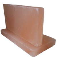 Briques de sel de l'Himalaya rectangulaires, carreaux de sel pour la fabrication de murs de sauna et de spa, purification de l'air