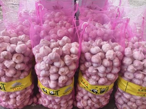 Ajo Verde Puro Blanco Normal Blanco Encurtido Verduras Chinas Venta al por mayor Suministro de Ajo Fresco - Product Image 5