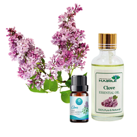 Vente en gros de parfum Huile essentielle de clou de girofle naturelle pure et biologique