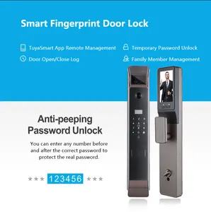 LEZN K10 Factory OEM Fingerprint Intelligent le plus populaire avec caméra de surveillance Wifi Wire Automatic Smart Door Lock