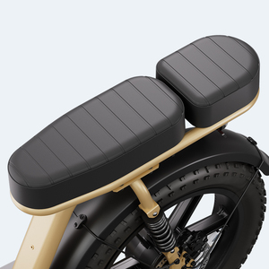 Bici Elettrica Ibrida con Telaio in Acciaio al Carbonio 250W 48V 15Ah Freno a Disco E-bike da Città con Due Posti e Pneumatici Larghi - Magazzino UE - Product Image 5