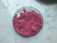 Poudre de fruits Pitaya, de qualité alimentaire naturelle, g