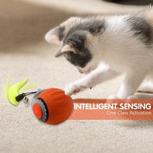 Nouvelle balle de jeu pour chien et chat avec clochette, balle roulante élastique en silicone, jouet intelligent interactif pour animaux de compagnie, jouet sportif pour chien et chat - Product Image 4