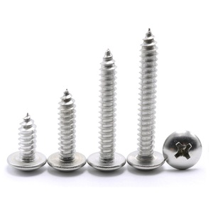 Tornillo <span class=keywords><strong>Autorroscante</strong></span> de Cabeza Redonda Ovalada Phillips de Acero Inoxidable 304 18-8, Tipo A, <span class=keywords><strong>para</strong></span> <span class=keywords><strong>Chapa</strong></span> Metálica y Madera - Product Image 5