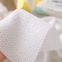 Lingettes Humides Compactes Personnalisées pour Toilettes, 24 Lingettes, Emballage Souple à Couvercle Rabattable, OEM ODM