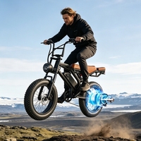 Vélo électrique étanche, vélo électrique à pneus larges de 20 pouces, frein à disque, vélo tout-terrain pour les États-Unis et l'Europe