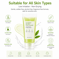 Nettoyant visage en gel à l'acide glycolique et à la groseille, exfoliant doux à faible pH, hydratant, éliminant les cellules mortes de la peau, pour femmes